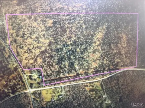 Hunting Land with Road Frontage