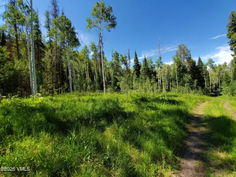 Gently Sloping Mountain Homesite