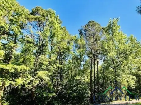 Queen City Wooded Acreage