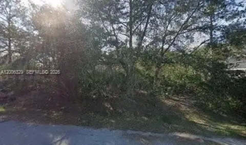 Vacant Lot in Palm Coast