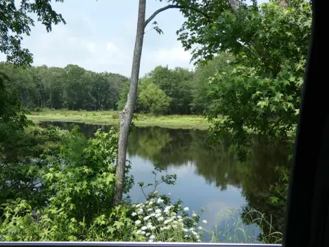 Mt Pleasant Acreage with Pond