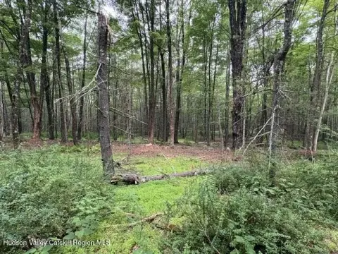 Residential Land Lot in Private Community