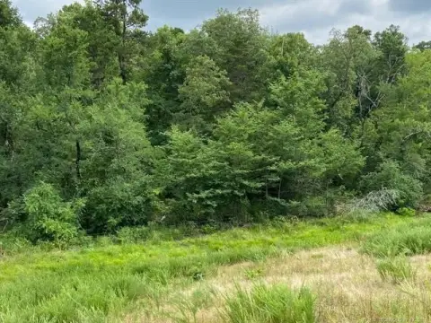 Ringold, OK Wooded Land