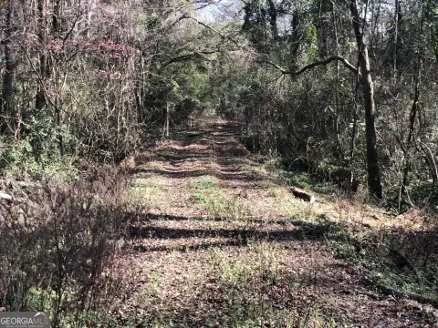 Wooded Lot in Thomaston, GA