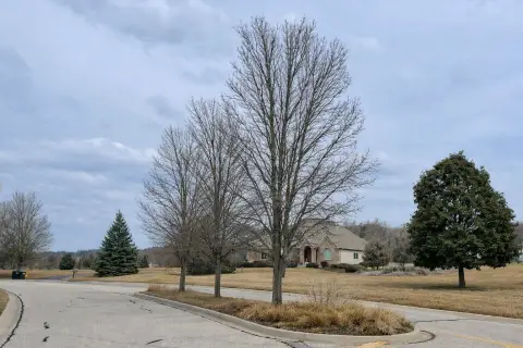 Wooded Acre Site in Estates