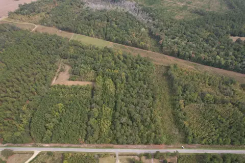 Wooded Hunting Land