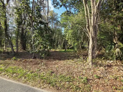 Gainesville Land Parcel for Development
