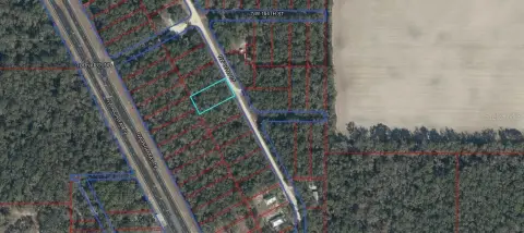 Wooded Lot in Fanning Springs