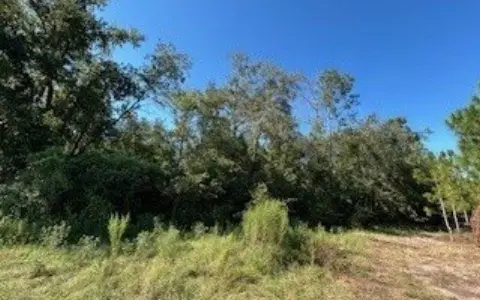 Live Oak Residential Land