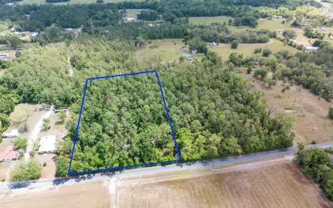5-Acre Wooded Homesite Near Live Oak