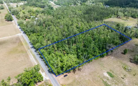 5-Acre Wooded Homesite Near Live Oak