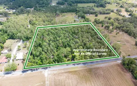 Live Oak 10-Acre Parcel