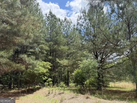 Toomsboro, GA 12-Acre Land