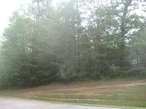 Wooded Lot with Water Access