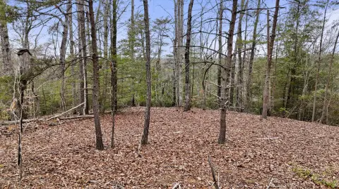 Land Near Red River Gorge