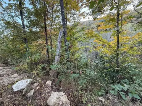 Livingston, KY Wooded Land Parcel