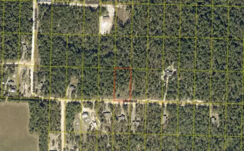 Residential Homesite in Turkey Creek