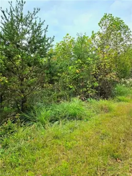 Residential Lot in Mulberry Community