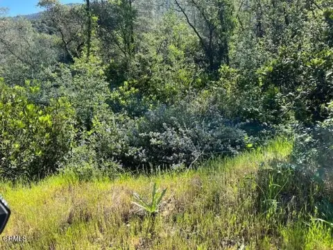 Rugged Recreation Land