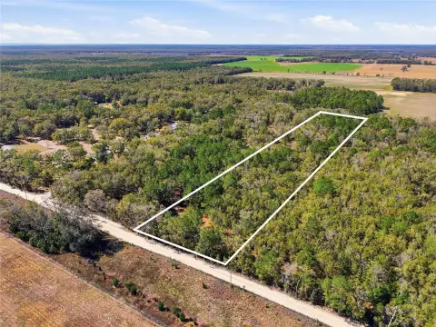 Wooded Acreage in Fort White
