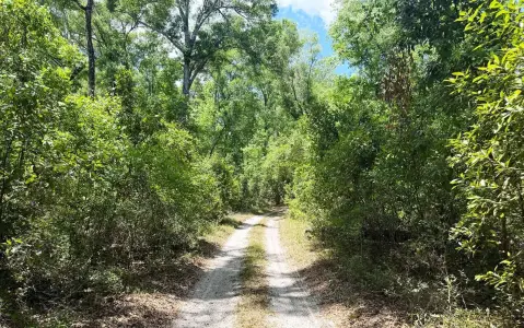 Branford Wooded Parcel Near Rivers