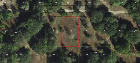 Inverness Acres Buildable Lots