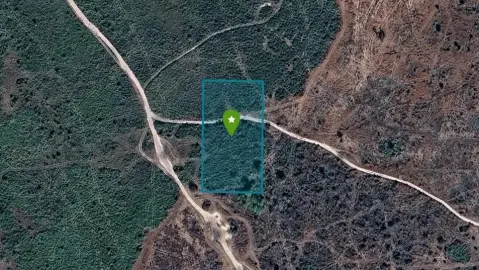 Okeechobee Recreational/Agricultural Land Parcel