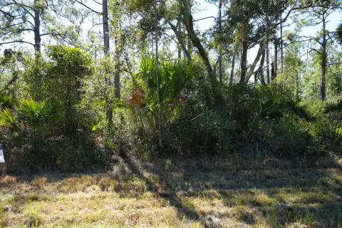 Vacant Land in Port Charlotte