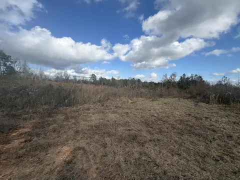Wooded Hunting Land