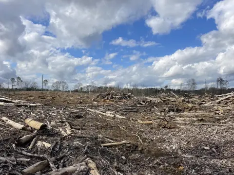 21 Acres in Bunkerhill Community