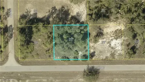 Residential Land in Alva, Florida