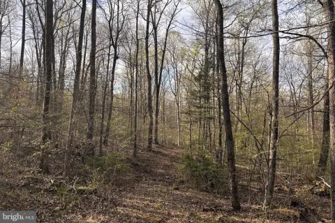 Secluded Land Near Shenandoah Park
