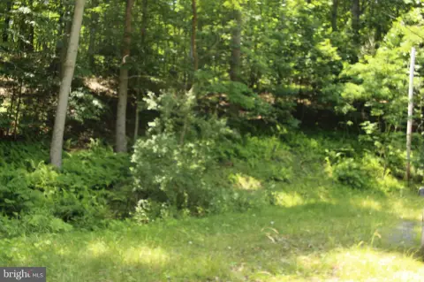 Wooded Lot Near Fishing