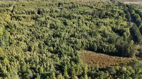 Wooded Hunting Land