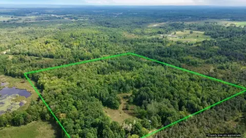 Off-Grid Hunting Land