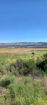 Fruitland Land with Development Potential