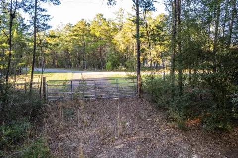 Wooded Land with Mobile Home Zoning