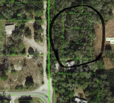 Undeveloped Land in Hudson, Florida