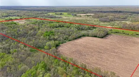 80 Acres of Versatile Land