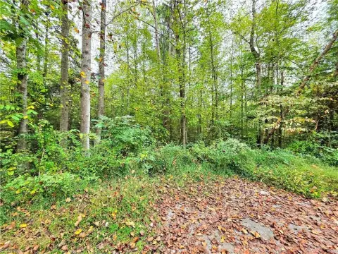 Wooded Lot in Hays, NC