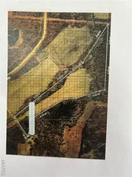 Land For Sale in Bland