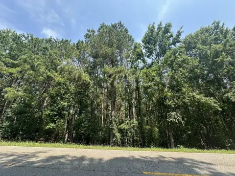 Appling, GA Residential Land