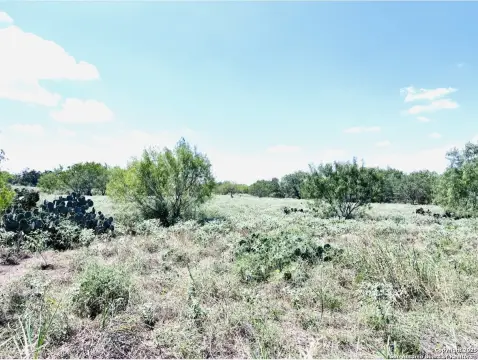 Jourdanton, TX Land Investment