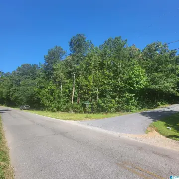 Wooded Corner Lot For Sale