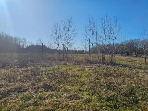 Proctor, AR Land For Sale