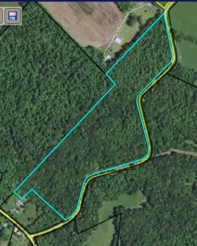 Wooded Hunting Land