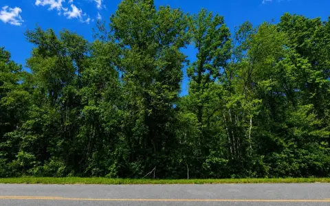 2.95 Acre Wooded Recreational Parcel