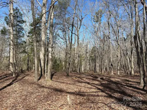 4-Acre Wooded Lot in Indian Land