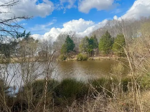 Heavily Wooded Lot in Gated Community