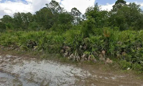 Spacious Lot in Alva, Florida